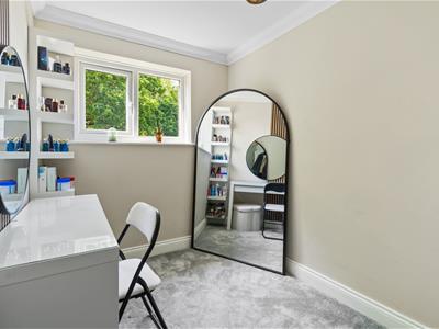 Picture 17